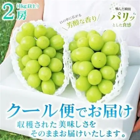 【発送月固定定期便】2026年発送 山梨 旬の果物 桃+種無し黒ぶどう+シャインマスカット 全3回_甘いシャインマスカット あまいシャインマスカット 美味しいシャインマスカット おいしいシャインマスカット 人気のシャインマスカット 瑞々しいシャインマスカット _【配送不可地域：離島・沖縄県】【4005774】