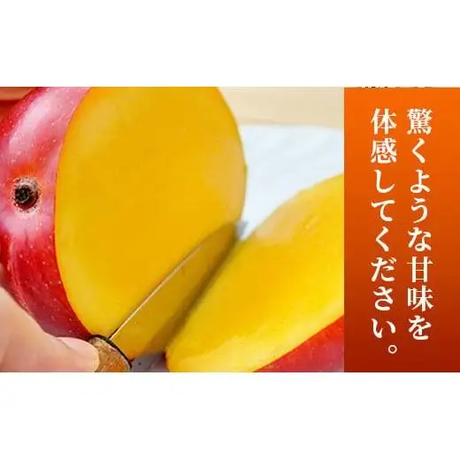 《2026年順次発送》訳あり (家庭用)沖縄マンゴー（石垣島産） 1kg