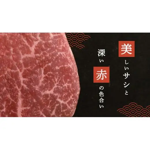 《 定期便 》 上州牛 ヒレステーキ 100g × 5枚 3ヶ月 連続お届け [AH020tu]