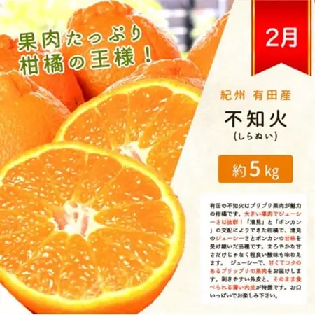 【発送月固定定期便】紀州和歌山産旬のフルーツセット(みかん・不知火・せとか)全3回【4005763】