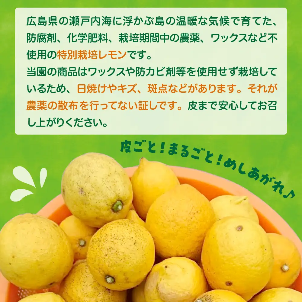 【先行受付】【2026年12月～発送】栽培期間中農薬不使用「レモン」約3kg ku033-001-26