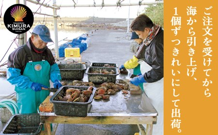 【先行受付】生け簀でお届けヒオウギ貝65個セット エアポンプ付【R00646】