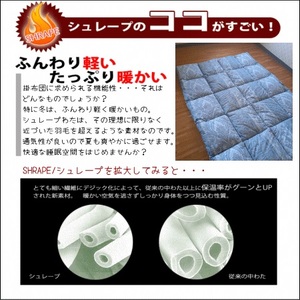 羽毛を超えた 掛け布団 プリント柄 綿100% ブルー｜掛け布団 