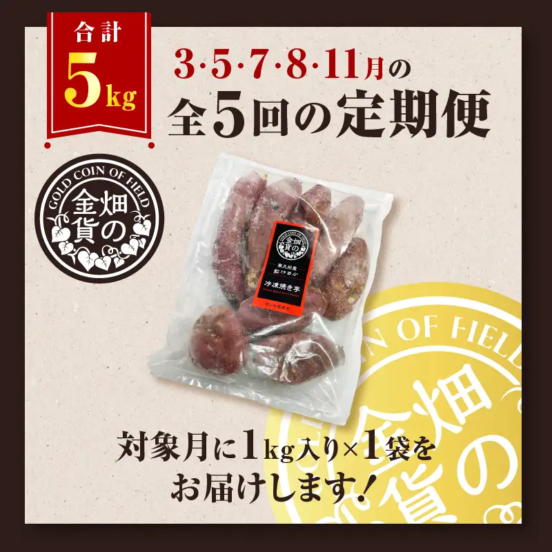 焼き芋 紅はるか 全5回定期便 1kg  【畑の金貨】 K181-T01 冷凍