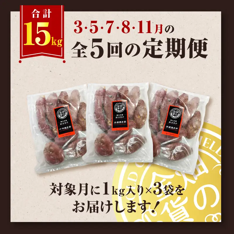 焼き芋 紅はるか 全5回定期便 3kg 【畑の金貨】 K181-T02 冷凍