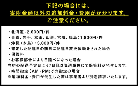リル 120 AVボード 収納 家具 インテリア
