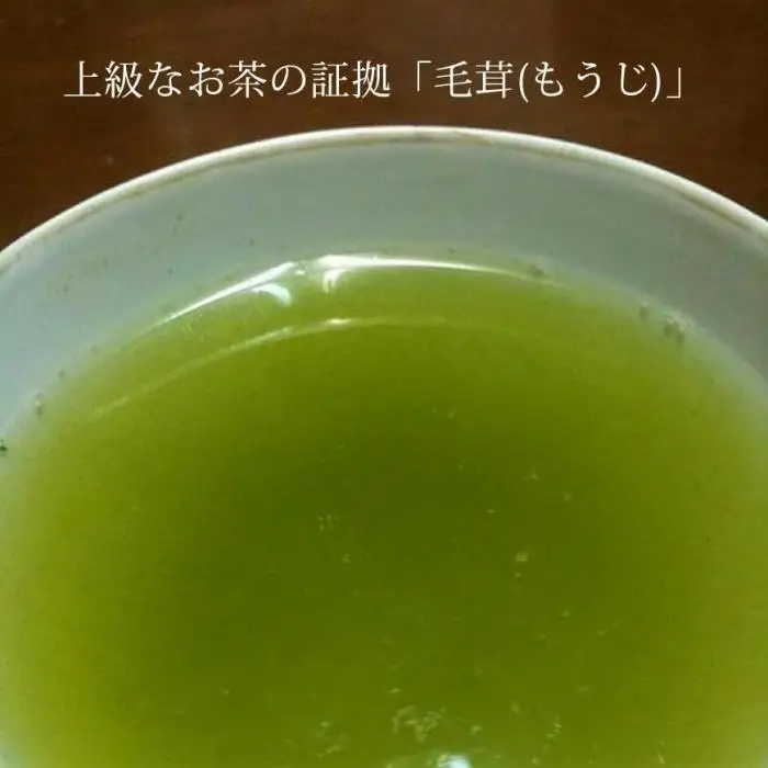奥八女星野村 伝統本玉露 50g×1袋＜八女茶＞