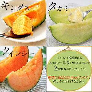 【2027年先行予約】JAはが野厳選！とちぎのメロン2種食べ比べ3L 2玉 化粧箱入り