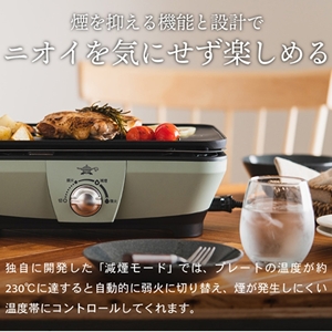 アラジン グラファイトミニグリラー よかわ錦うなぎ アラジン