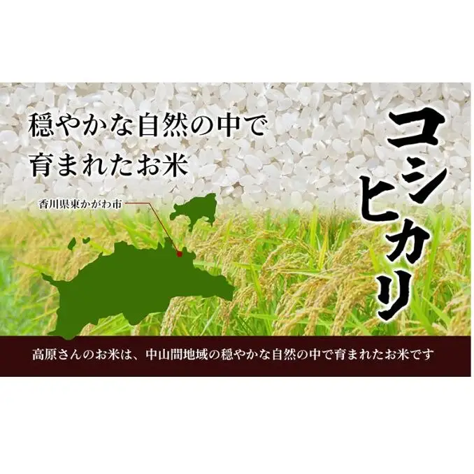 令和8年産香川県産コシヒカリ6kg（玄米）※３Kg×2袋