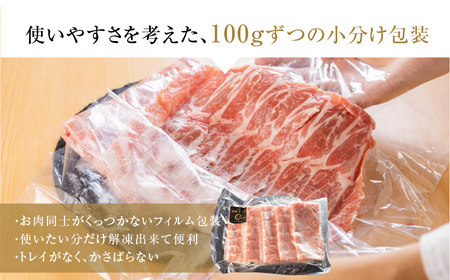 幻の青うなぎ＆田原ポークセット    食感・風味全てに自信のある最高のうなぎ  うなぎ 鰻 ウナギ 【ふるなび限定】FN-Limited