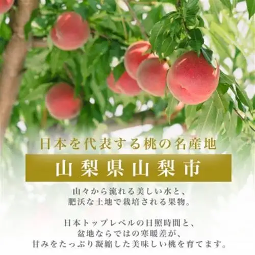 2027年(来年)発送先行受付約2kg 完熟桃とろける甘みYAMANASHI PRIDE 　5～8玉【配送不可地域：離島・北海道・沖縄県・中国・四国・九州】【1222000】