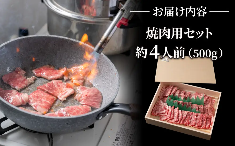 【6回定期便】小田切牧場信州プレミアム牛特選　焼肉セット500ｇ