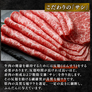 近江牛 赤身 スライス 440g バラ モモ ウデ ( 2024年２月以降お届け 牛肉 肉 ギフト すき焼き しゃぶしゃぶ 自宅用 高級 黒毛和牛 国産 ふるさと納税 ブランド牛 三大和牛 和牛 冷凍 贈り物 内祝い 神戸牛 松阪牛 に並ぶ 日本三大和牛 滋賀県 竜王町 澤井牧場 )
