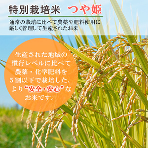 【定期便3回】特別栽培米 つや姫 5kg×3ヶ月(計15kg) FZ23-748