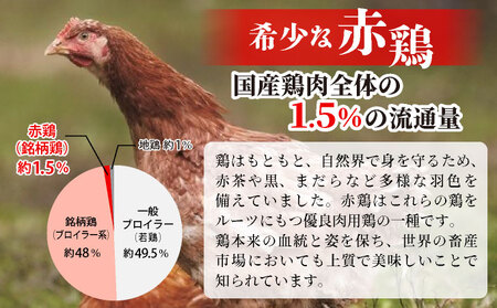 鶏肉 丹波赤どり むね肉 6kg（2kg×3パック）訳あり鶏肉