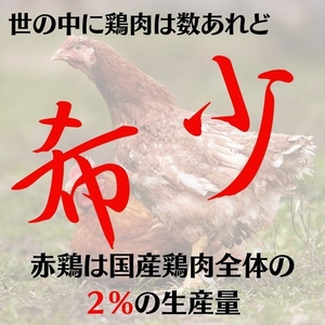 鶏肉 丹波赤どりもも肉＆むね肉 4kgセット（各2kg）丹波山本 国産 亀岡産 訳あり 鶏肉