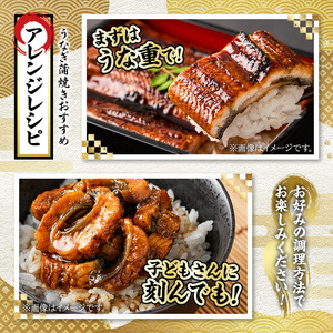 【0244311a】並サイズの満足感！東串良町のうなぎ蒲焼(無頭)(5尾・計約600g・タレ、山椒付)うなぎ 高級 ウナギ 鰻 国産 蒲焼 蒲焼き たれ 鹿児島 ふるさと 人気【アクアおおすみ】