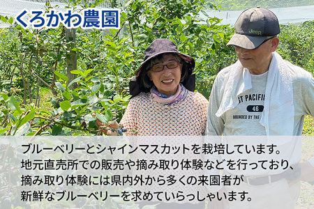 くろかわ農園 冷凍ブルーベリー 2kg（500g×4パック） 秋田県美郷町