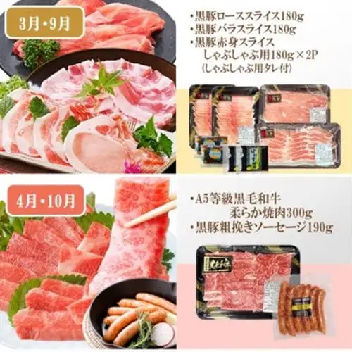 定期便(6回)A5・A4等級黒毛和牛・黒豚etc FF-0061_肉 牛肉 サーロイン ステーキ 焼肉 ハンバーグ 切り落とし 豚肉 生姜焼き ロース バラ しゃぶしゃぶ ホルモン ソーセージ 生ハム 人気 送料無料_【配送不可地域：離島】【1166779】