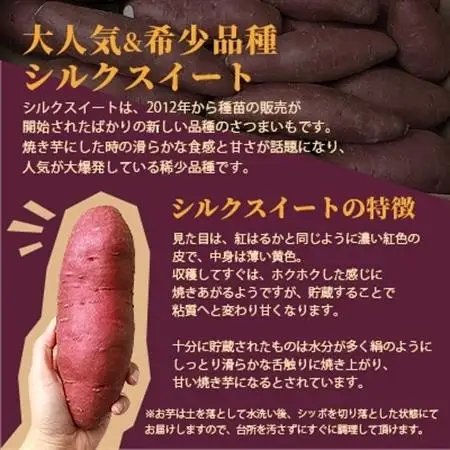 シルクスイート 〈4キロ〉サツマイモ さつまいも 人気品種 鹿児島県 A2-2_野菜 さつまいも いも サツマイモ 薩摩芋  野菜  いも イモ 芋_【配送不可地域：離島】【1167015】