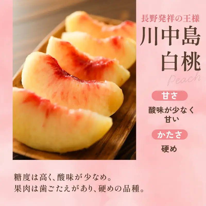 桃 川中島白桃 秀品 約2kg 5～9玉 果物 フルーツ 桃