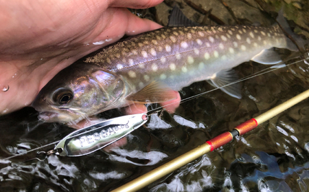 PESCA トラウトルアー 限定カラー3個セット（8.0g） | ルアー 釣り 草加市
