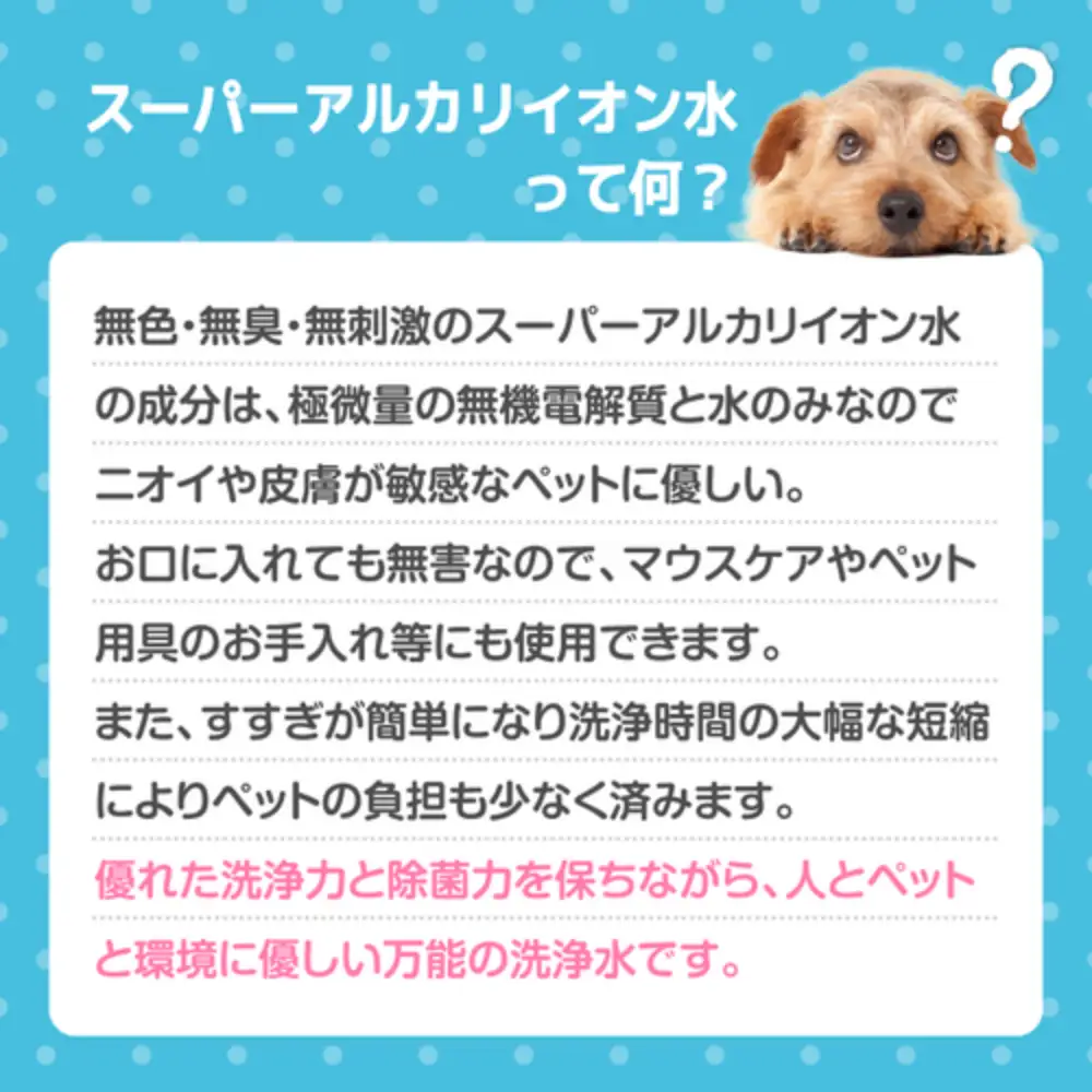 スーパーアルカリイオン水 ANY(アニー) 消臭 詰め替え用 5L   詰め替え用 洗浄除菌水 消臭 無臭 ペットの衛生ケア お掃除 広島県 呉市 ku151-003-r