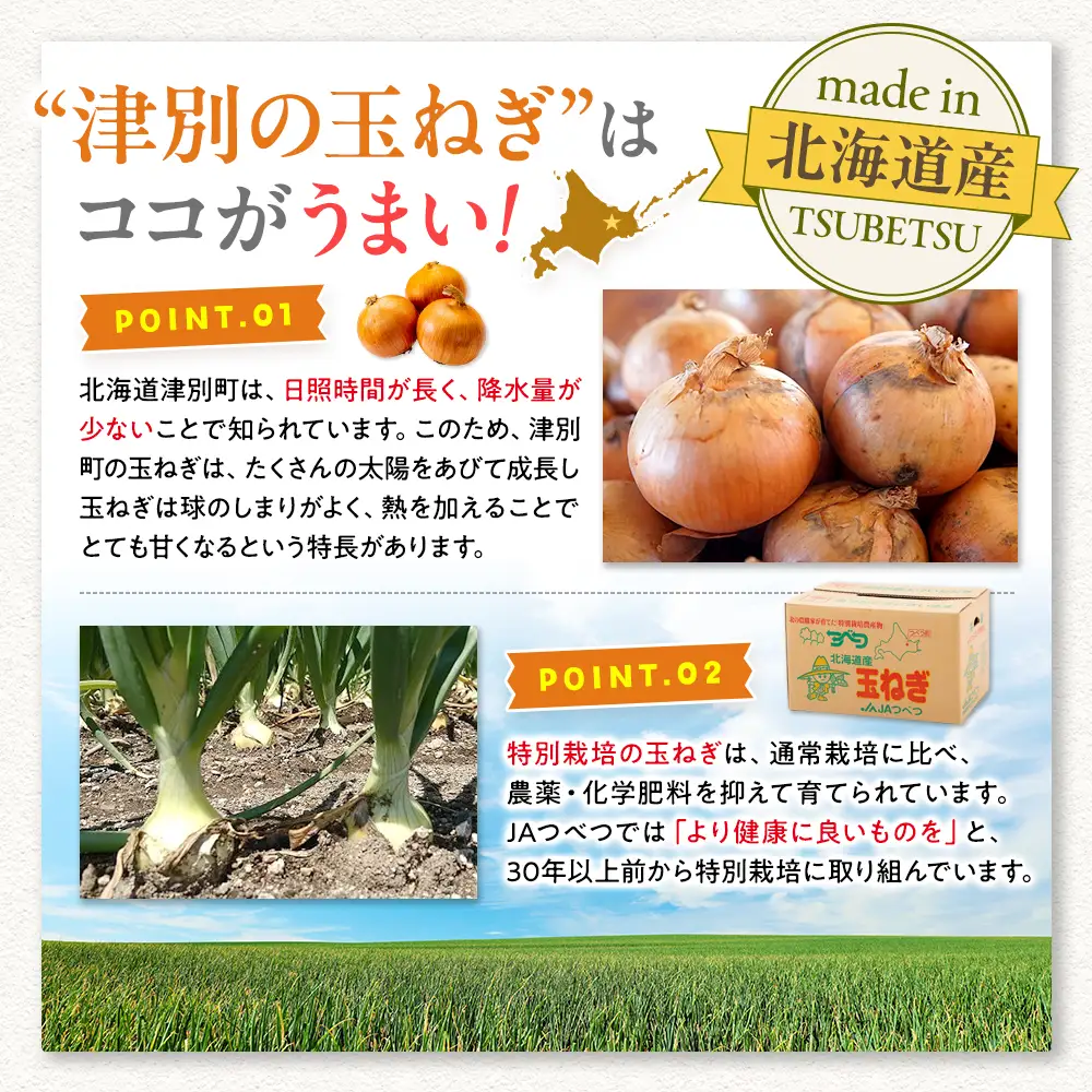 【先行受付】R8年産 特別栽培玉ねぎ 5kg | 玉ねぎ たまねぎ タマネギ 玉葱 大容量 オニオン 甘い 減農薬 特別栽培 国産 カレー ハンバーグ 煮込み 炒め物 北海道 津別町 送料無料