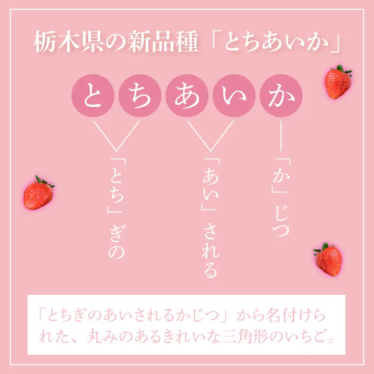 とちあいか いちご ★贈答用★ 600g 300g×2P DJ002