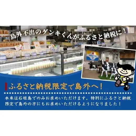 八重山ご当地キャラクターゲンキくん クールグミ 12袋　OP-3