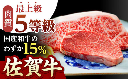 佐賀牛 シャトーブリアンとサーロインの極上セット計500g HAD145 シャトーブリアンシャトーブリアンシャトーブリアンシャトーブリアン
