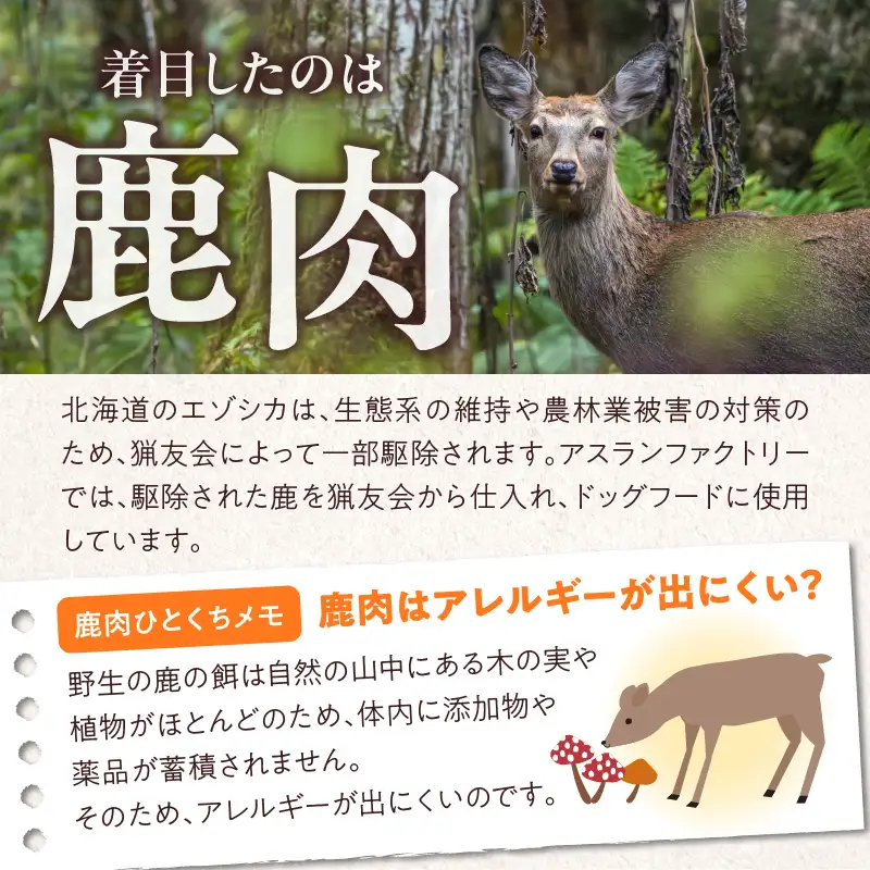 【5営業日以内に発送】【 アスランエゾベニソン オリジナル 1.2kg（ ドッグフード ） 】 T012-001 ペット用品