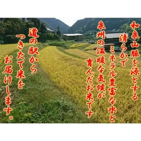 大阪府和泉市の農家さんが心を込めて作った「にこまる」　一袋5kg。道の駅で大好評。【1498583】