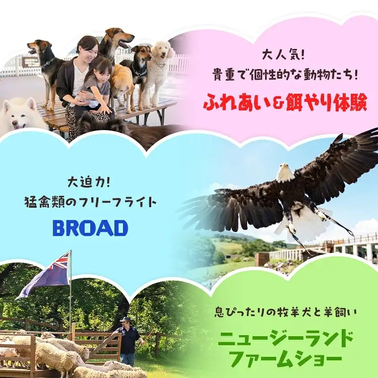 那須どうぶつ王国 ペアご招待券 2名 ｜ 動物 動物園チケット 動物園 どうぶつえん チケット 券 入場券 入園券 観光 ファミリー 家族 お出かけ 旅行 栃木県 那須町〔P-153〕