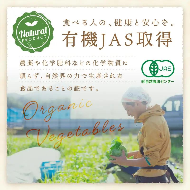 【6回定期便】＜てんとうむしばたけ＞オーガニック野菜セット　有機野菜6～7種(2人用) 京都直送 野菜 詰め合わせ 野菜セット 国産 京都産 ふるさと納税 野菜