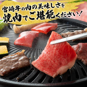 【6ヶ月定期便】宮崎牛焼肉定期便 全6回【 肉 牛肉 国産 宮崎県産 】