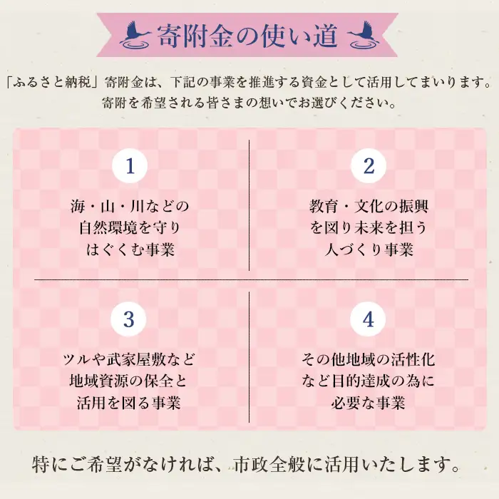 i902 ≪返礼品なし・1,000円≫鹿児島県出水市への寄附 返礼品なし 寄附のみ【出水市役所】