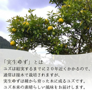 海部柚子プレミアム (実生ゆず果汁) 120ml×５本 お料理に お飲み物に
