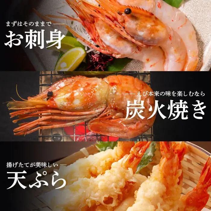 【訳あり】 ぼたんえび 1kg （小サイズ）【0512402】