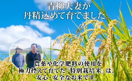 ゆめぴりか 特別栽培米 倶知安町産 特A 精米 ゆめぴりか【5kg】【定期便6ヵ月連続】