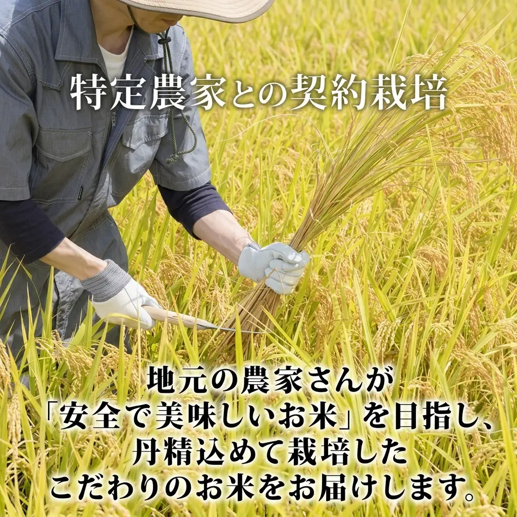 ななつぼし 倶知安町産 特A 精米 道産米 ななつぼし【5kg】【定期便】