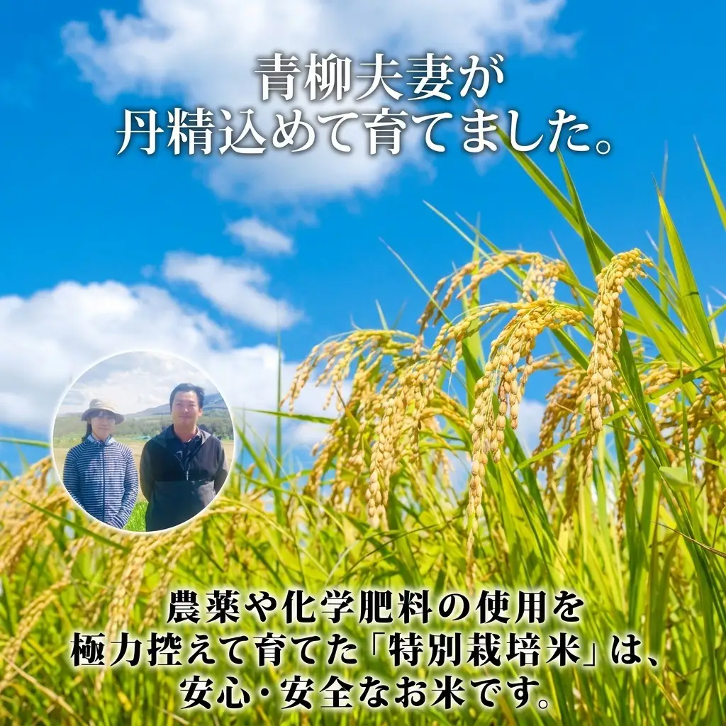 ゆめぴりか 特別栽培米 倶知安町産 特A 精米 ゆめぴりか【5kg】