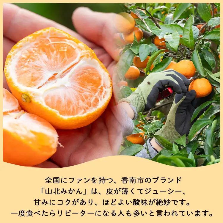 山北みかん 小玉5kg（60～80個程度）小玉３S〜２Sサイズ yk-0078