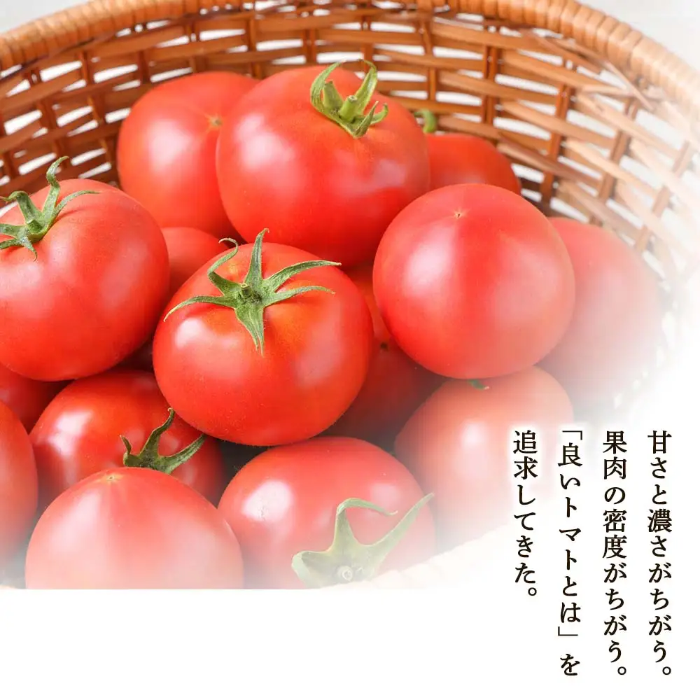 【定期便12回】中野ファームのトマトジュース 720ml×2本 【余市のトマトジュース】フルーツトマトジュース 高糖度トマトジュース 無添加トマトジュース 北海道産トマトジュース 国産トマトジュース_Y026-0012