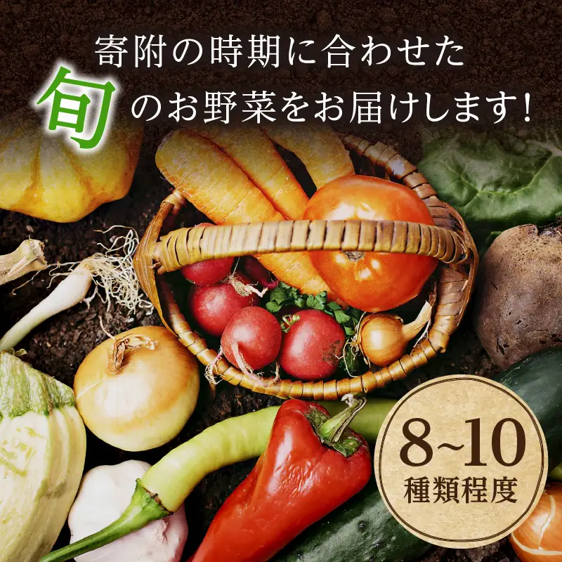 【4回定期便】アスカ有機農園｜旬の京丹後野菜セット 8～10種類