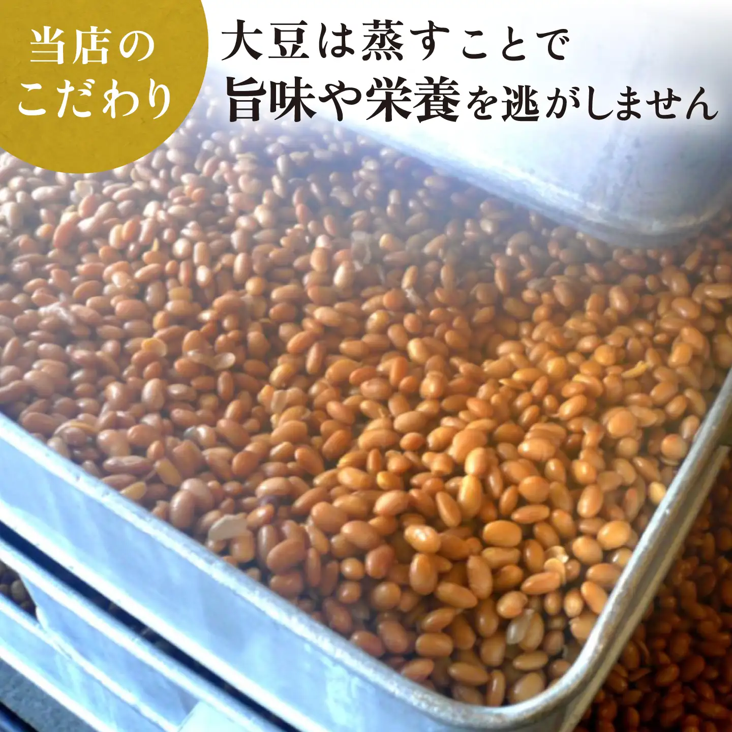 【6回定期便】無添加 国産 蒸し 大豆 合わせ味噌（600g×3）【有限会社 木屋食品工業】[ZAD031]