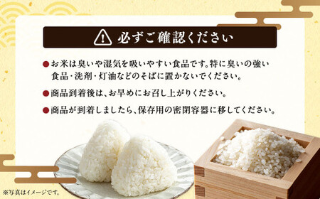 〈令和7年産〉浦臼産 ななつぼし 精白米 10kg （5kg×2袋） 【2026年1月下旬-8月下旬迄順次発送予定】 令和7年 米 お米 こめ コメ ブランド米 ごはん ななつぼし 精米 白米 10kg 5kg 2袋 北海道産 北海道 浦臼町