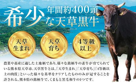 黒毛和牛 切り落とし 1kg 3回定期便 田中畜産 | 黒毛和牛