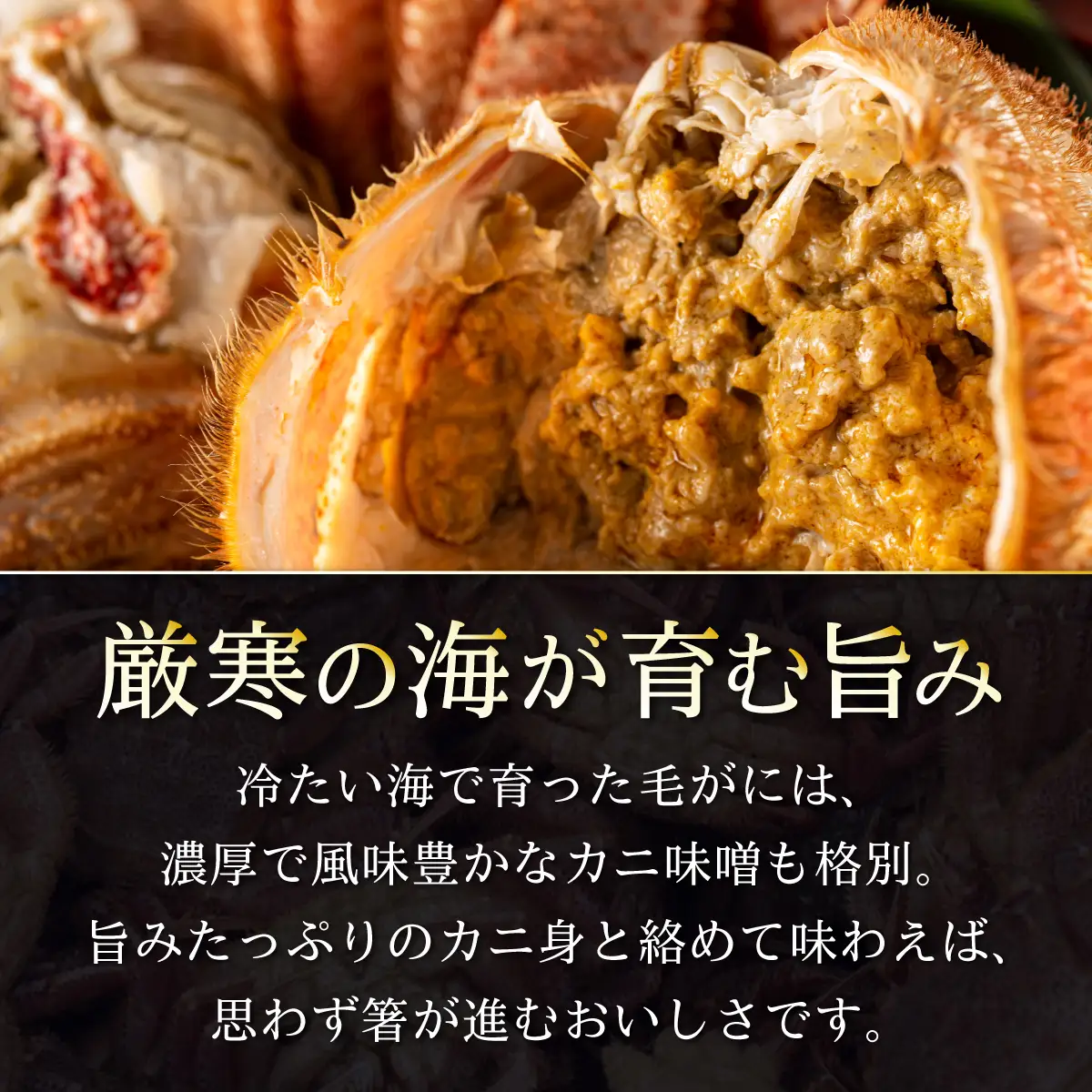 【数量限定】＜網走前浜産＞【流氷明けの堅ガニ厳選！】活〆浜茹で毛がに（計900g～1kg）ABAI008